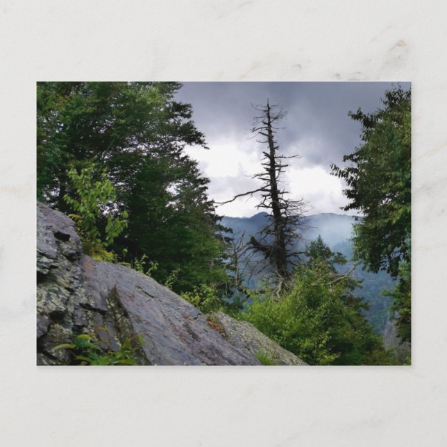 Chimney Tops große rauchfreie Berge Postkarte (Vorderseite)