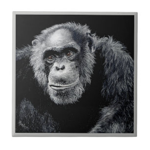 Chimp Tile - "Jacob" Fliese