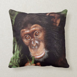 Chimpansee Kissen