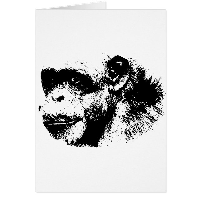 Chimpanzé noir et blanc (Devant)