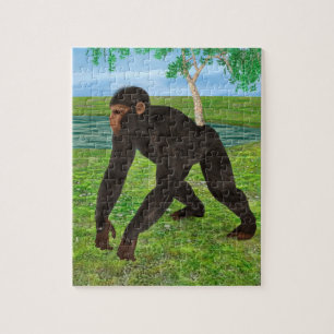 Chimpanzee