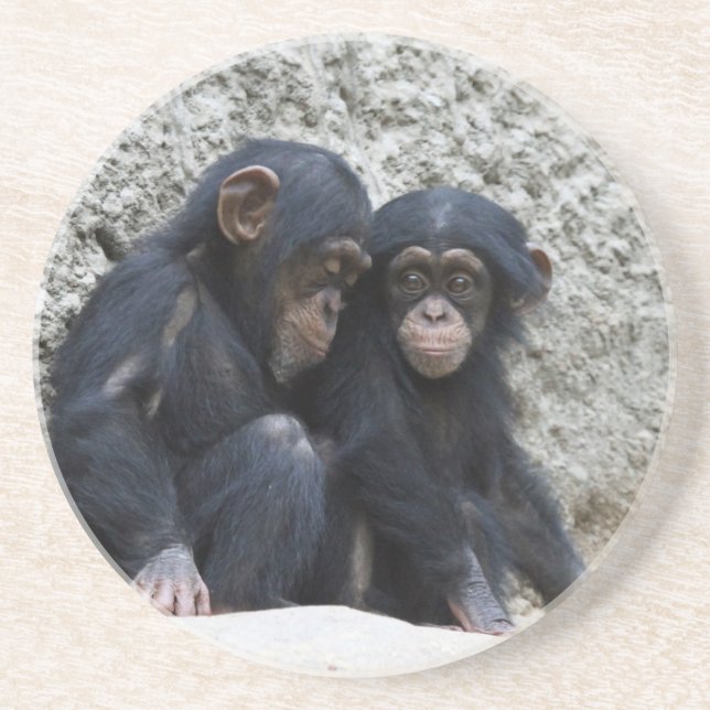 Chimpanzee 002 sandstein untersetzer (Vorne)