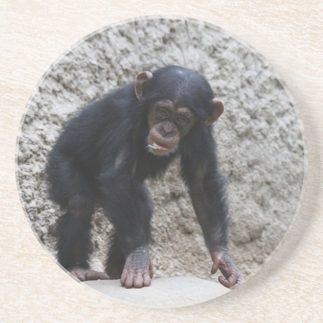 Chimpanzee 031 getränkeuntersetzer (Vorne)