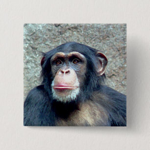 Chimpanzee Button