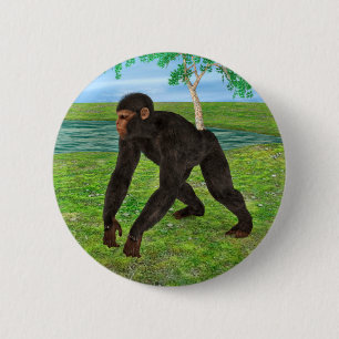 Chimpanzee Button