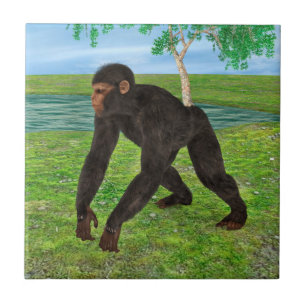 Chimpanzee Fliese
