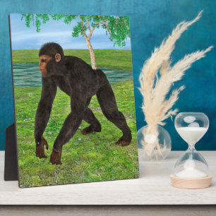 Chimpanzee Fotoplatte