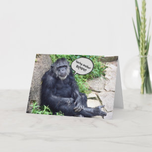 Chimpanzee Humore Birthday Karte