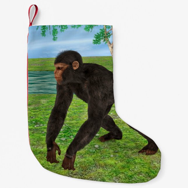 Chimpanzee Kleiner Weihnachtsstrumpf (Vorderseite)