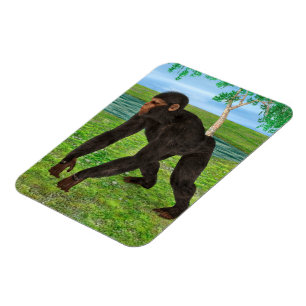 Chimpanzee Magnet