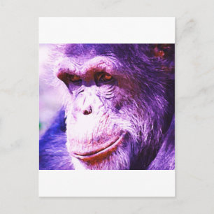 Chimpanzee Postkarte