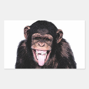 Chimpanzee Rechteckiger Aufkleber
