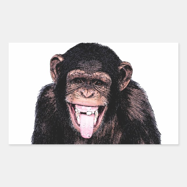 Chimpanzee Rechteckiger Aufkleber (Vorderseite)