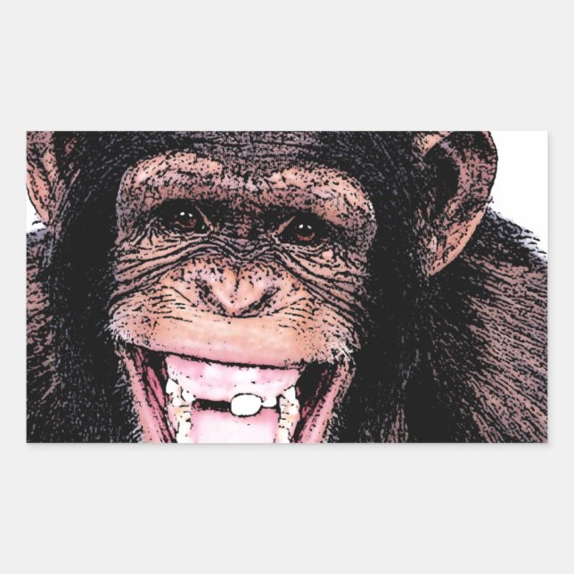 Chimpanzee Rechteckiger Aufkleber (Vorderseite)