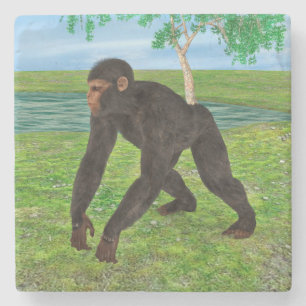 Chimpanzee Steinuntersetzer
