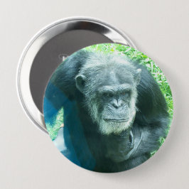 Chimpanzee Thinking Button
