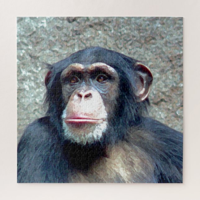 Chimpanzee Wildtiere Art Foto (Vertikal)