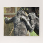 CHIMPANZEES<br><div class="desc">Ein Paar sehr niedlicher Schimpansen. Sind sie bester Freunde oder planen sie Unheil?</div>