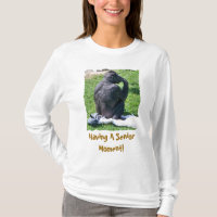 CHIMPANZEES