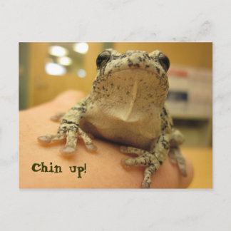Chin up! postkarte