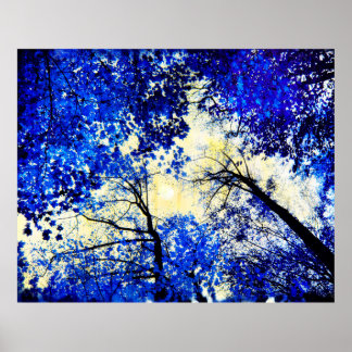 China blau, Naturfotografie, Blaubäume, Mond Poster