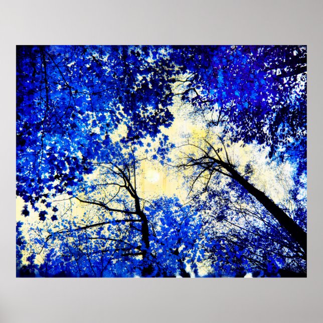 China blau, Naturfotografie, Blaubäume, Mond Poster (Vorne)