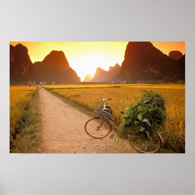 China, Guangxi. Yangzhou, Fahrrad auf dem Land Poster (Vorne)