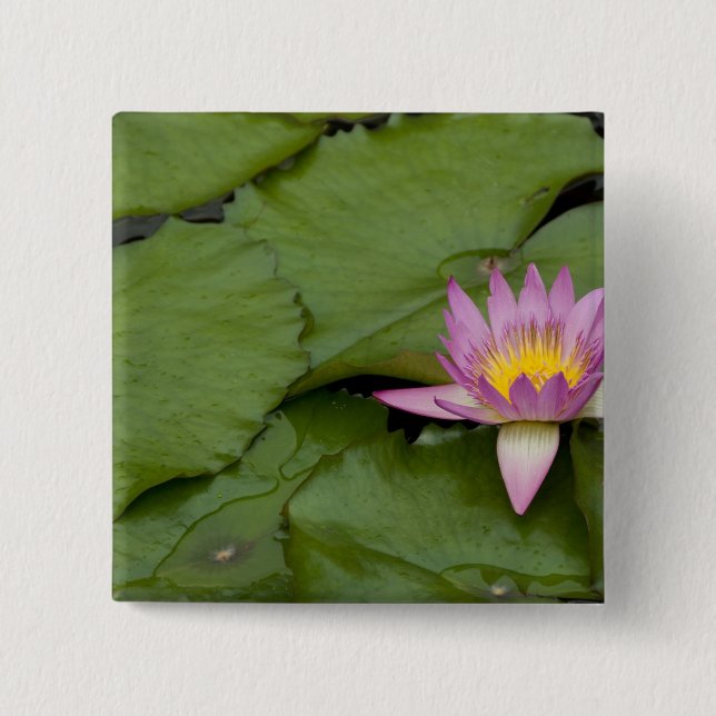 China, Hongkong, neue Gebiete. Chi Lin Button (Vorderseite)