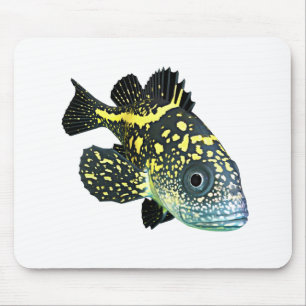 China-Klippenbarsch Mousepad