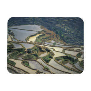 China, Provinz Yunnan. Überschwemmte Reisterrassen Magnet