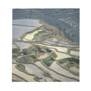 China, Provinz Yunnan. Überschwemmte Reisterrassen Notizblock