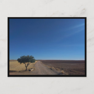 China (Spanien) Postkarte