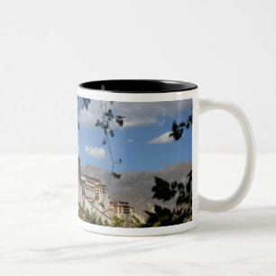 China, Tibet, Lhasa, Potala-Palast Zweifarbige Tasse