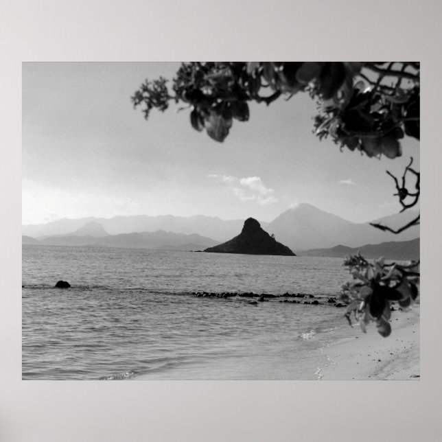 Chinamans Hat _bw Poster (Vorne)