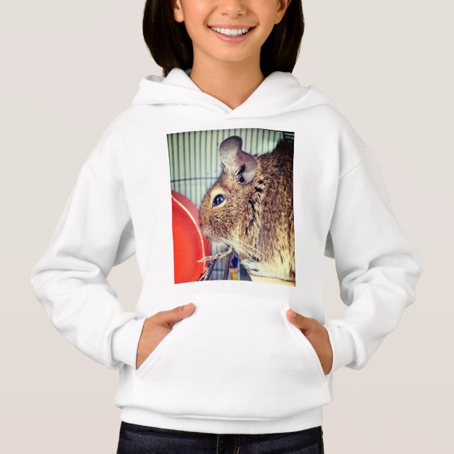 Chinchilla (Devant)