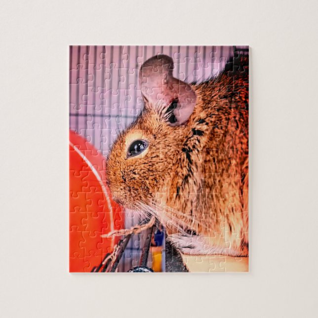 Chinchilla (Vertikal)
