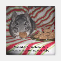 Chinchilla 2012 Magnet im Dezember