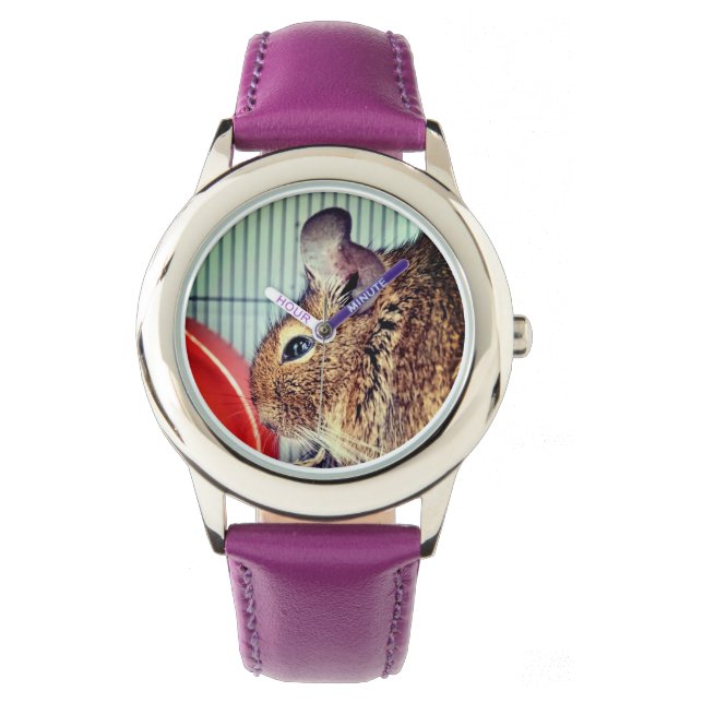 Chinchilla Armbanduhr (Vorderseite)