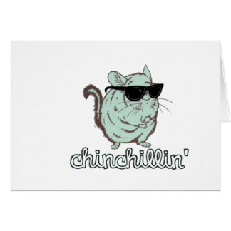 Chinchilla bleu de Chinchillin