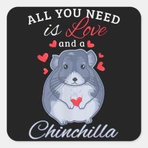 Chinchilla Gift Funny Niedlich Pet Animal Lover Be Quadratischer Aufkleber
