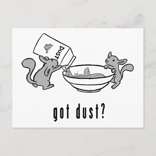 Chinchilla got Staub-Postkarte Postkarte (Vorderseite)