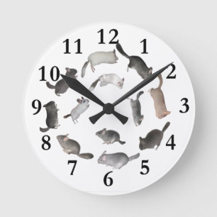 Chinchilla jumping clock runde wanduhr