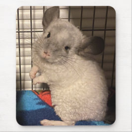 Chinchilla Mousepad
