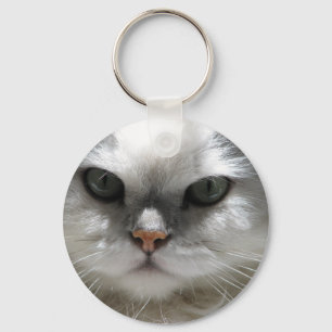 Chinchilla-persische Katze Schlüsselanhänger