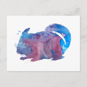 Chinchilla Postkarte