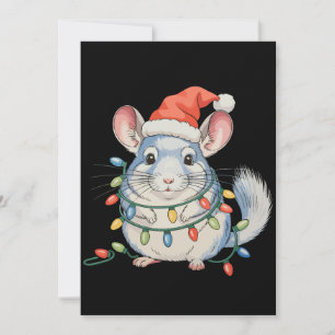 Chinchilla Santa Hut Weihnachten Xmas Lichter