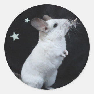 Chinchilla Star Runder Aufkleber