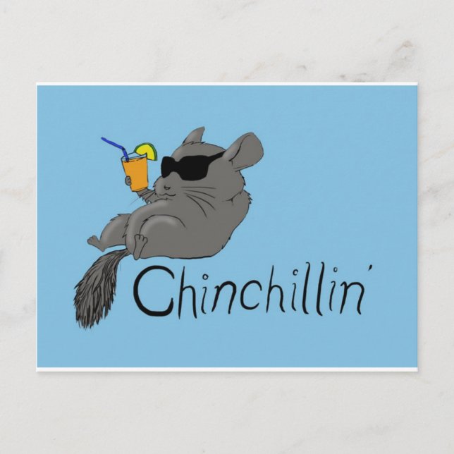Chinchillin Postkarte (Vorderseite)