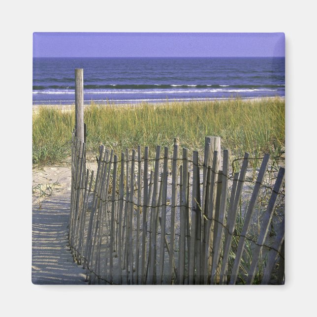 Chincoteague National Wildlife Refugium Magnet (Vorne)