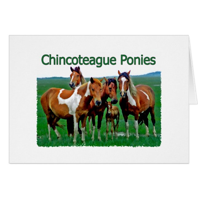 Chincoteague Ponies (famille) (Devant horizontal)